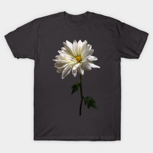 A White Daisy T-Shirt